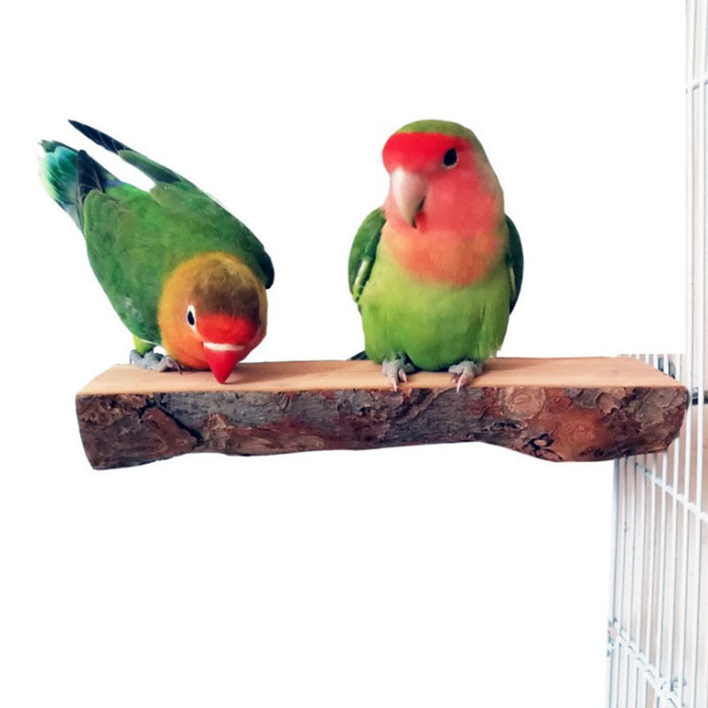 Široka papiga za kućne ljubimce od prirodnog drveta Sirova drvena vilica Stalak za grane Vjeverica Ptica Hrčak Grane Smuđevi Igračke za grickanje Štap 15 cm