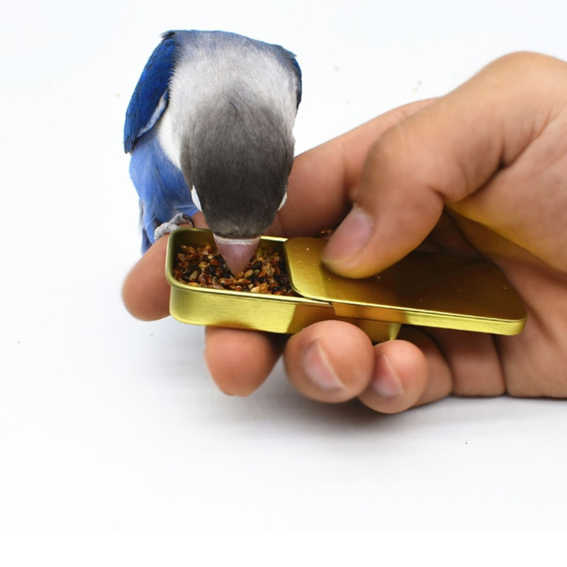 Bird Training Food Jar Parrot Χειρός τροφοδότης Bird IQ Growth Training Tools Διαδραστικά παιχνίδια Μίνι δεξαμενή σιδήρου για τροφή πουλιών