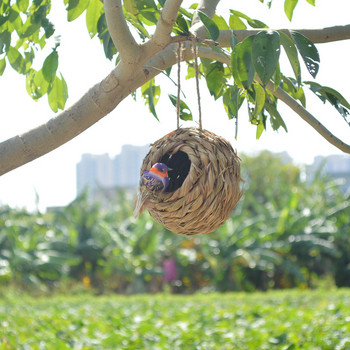 Гнездо за птици Клетка за птици Тръстикова трева Сферично гнездо за колибри Външно декоративно плетено висящо гнездо за птици Къща Proficient