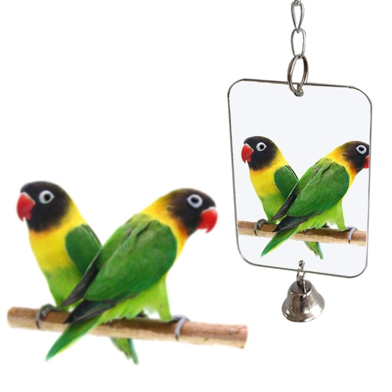 Oglinzi pentru păsări cu clopote metalic Oglindă pentru perusi calopsiți pentru cușcă Jucărie pentru păsări Accesorii pentru cușcă leagăn pentru papagal Conure
