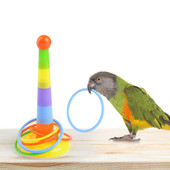 Bird Toy Funny Mini Colorful Ferrule Toy for Parrot Training Interactive Paparot Educational Toys Bird Supplies Random Color