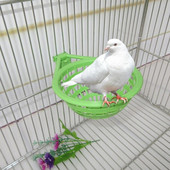 Zeleno ptičje gnijezdo, šuplji viseći kavez, alat za izleganje jaja za Pan Finch Parrot Canary