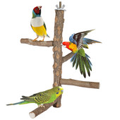 Prirodno drvo Kućni ljubimac Papiga Sirovo drvo Vilica Stalak za grane Stalak Vjeverica Ptica Hrčak Grana Smuđevi Igračke za žvakanje Pribor za štapiće