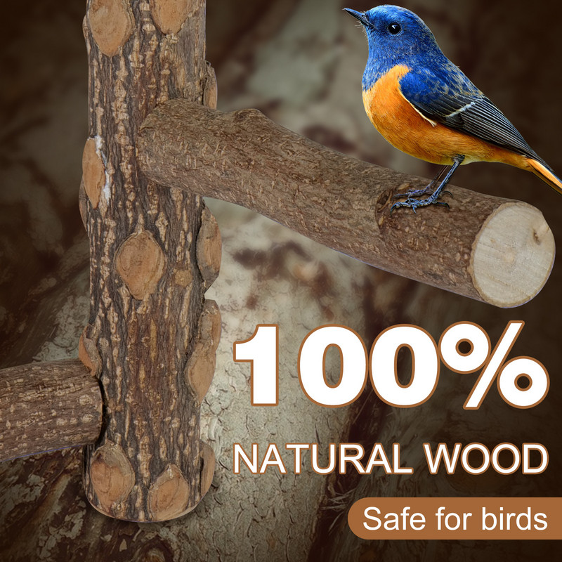 Prirodno drvo Kućni ljubimac Papiga Sirovo drvo Vilica Stalak za grane Stalak Vjeverica Ptica Hrčak Grana Smuđevi Igračke za žvakanje Pribor za štapiće