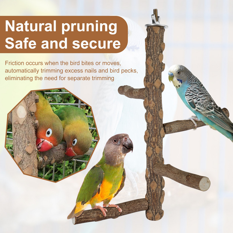 Prirodno drvo Kućni ljubimac Papiga Sirovo drvo Vilica Stalak za grane Stalak Vjeverica Ptica Hrčak Grana Smuđevi Igračke za žvakanje Pribor za štapiće