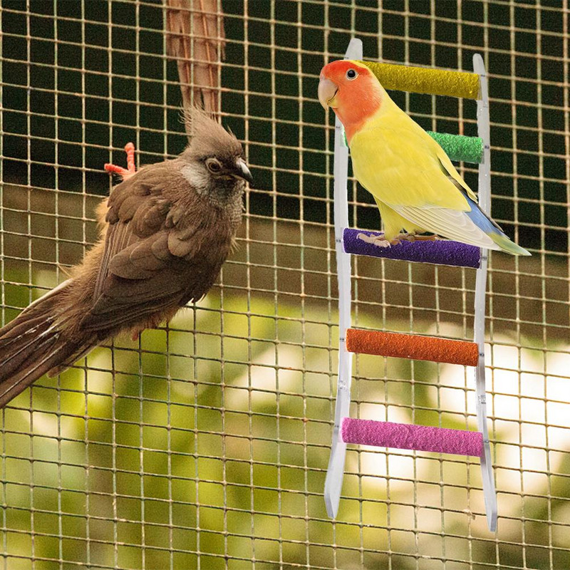 Bird Parrot Toys Ladders Swing Μασητικά Παιχνίδια Κρεμαστά αξεσουάρ κλουβιού για κατοικίδια ζώα Αιώρα Swing παιχνίδι για μικρούς παπαγάλους Cockatiels