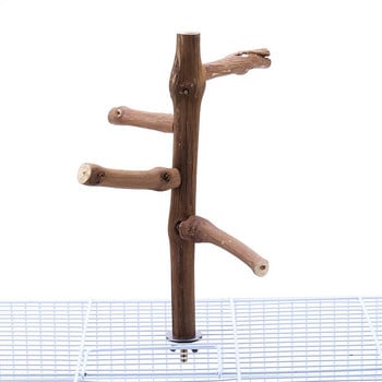 1 τεμ Parrot Natural Wood Perch Stand Μασώντας Παιχνίδι Πουλιά Κλουβί Αξεσουάρ για Parakeets Cockatiels Lovebirds