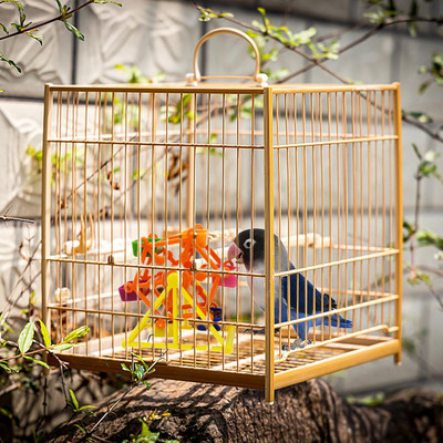 Papagoi toiduotsimise mänguasi värviline pöörlev tuuleveski hammustuse vastane närimisvastane treening toidukarp Lõbus lindude stressi leevendamine harivate mängude tööriist