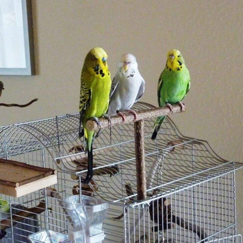 Bird Parrot Cage Toys Training Shape T Perch Grinding Chewing Parakeet Παιχνίδι με βάση από φυσικό ξύλο