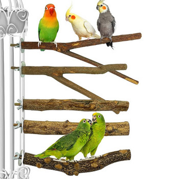 5 τεμάχια Bird Perch Wood Stand Φυσικό ραβδί δέντρου όρθιο αναρριχητικό μπαρ Παιχνίδια λείανσης ποδιών για πτηνά Αξεσουάρ κλουβιών