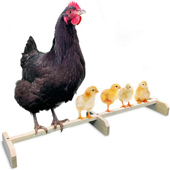 15,7 ιντσών Stretch Chicken Perch Ισχυρό Roosting Bar Αξεσουάρ και παιχνίδια από μασίφ ξύλο Chicks Stand for Coop and Brooder