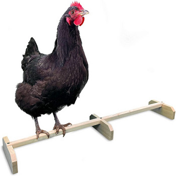 15,7 ιντσών Stretch Chicken Perch Ισχυρό Roosting Bar Αξεσουάρ και παιχνίδια από μασίφ ξύλο Chicks Stand for Coop and Brooder