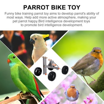 Bird Bike Parrot Образователно обучение за Африканско сиво какаду Conures