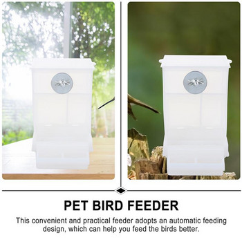 2PCS Chic Creative Automatic Birds Food Box Parrot Automatic Feeder Bird Feeder for Outdoor