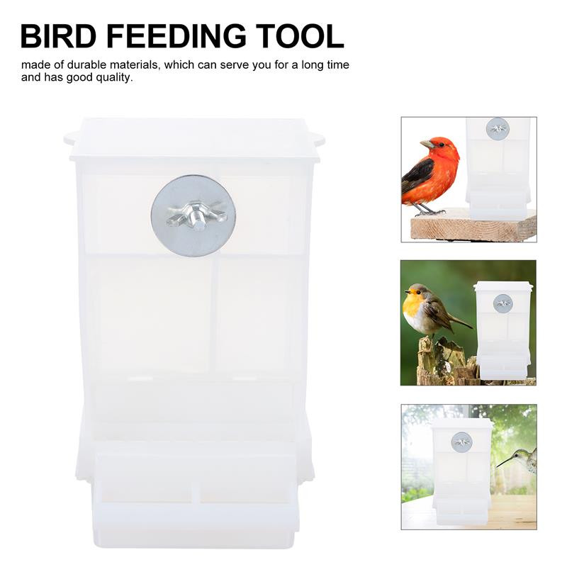 2 TK šikk Creative automaatne linnusöötja papagoi automaatne söötja õues kasutamiseks