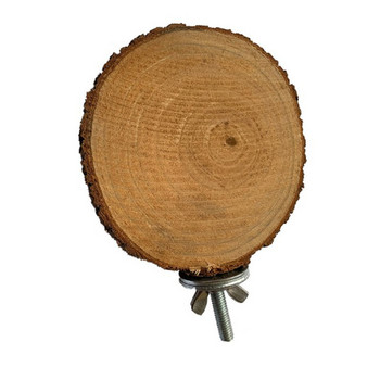 1 τεμ Φυσικό ξύλο κατοικίδιο παπαγάλος ακατέργαστο ξύλο πιρούνι κλαδί δέντρου Βάση ράφι Σκίουρος πουλί Κλάδος χάμστερ Πέργκες Chew Bite Toys Sticks