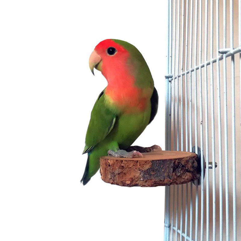 1 τεμ Φυσικό ξύλο κατοικίδιο παπαγάλος ακατέργαστο ξύλο πιρούνι κλαδί δέντρου Βάση ράφι Σκίουρος πουλί Κλάδος χάμστερ Πέργκες Chew Bite Toys Sticks