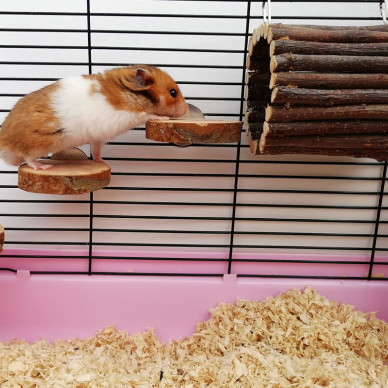 1 τεμ Φυσικό ξύλο κατοικίδιο παπαγάλος ακατέργαστο ξύλο πιρούνι κλαδί δέντρου Βάση ράφι Σκίουρος πουλί Κλάδος χάμστερ Πέργκες Chew Bite Toys Sticks