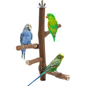 Parrot Natural Wood Perch Stand Chewing Toy Bird Cage Accessories For Parakeets Cockatiels Lovebirds Accessories