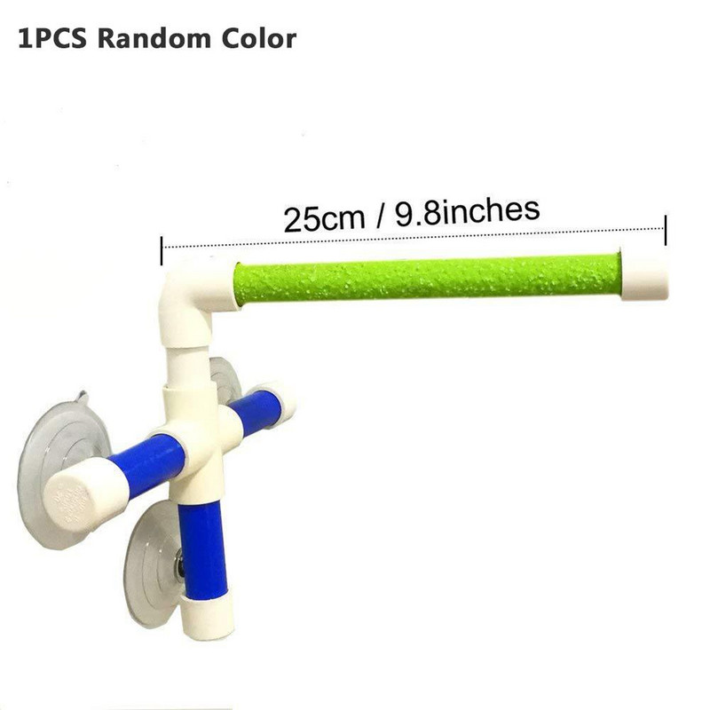 Papagoi alus poleeritud linnupulk mänguasja dušialus Vannitarvikute riiuli värv juhuslik