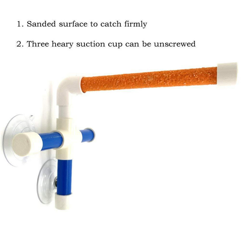 Papagoi alus poleeritud linnupulk mänguasja dušialus Vannitarvikute riiuli värv juhuslik