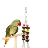Jucării pentru păsări pentru animale de companie, din lemn natural, sfoară molară colorată, de mestecat, coarda de bumbac, jucărie, papagal, agățat, suport pentru leagăn colorat