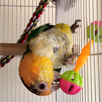 Parrot Toy Creative Pet Bird Parrot Hollow Double-head Bell Ball Rattle Bite Chew Training Toys Interactive Ball Toy