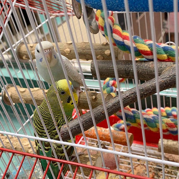 Bird Perch Parakeet Toys Parrot Stand 4 τμχ Φυσικό ξύλο Πέρκα Πέρκα Αξεσουάρ κλουβιού πουλιών για προμήθειες Conure Πλατφόρμα Budgie