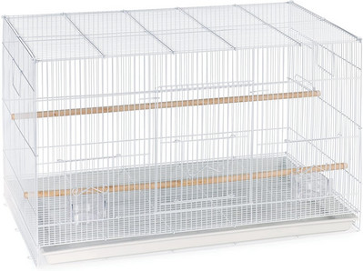 60 * 40 * 40 pagal užsakymą didelis didmeninis didelis geležinės vielos paukščių veisimo balandžių papūgos narvas