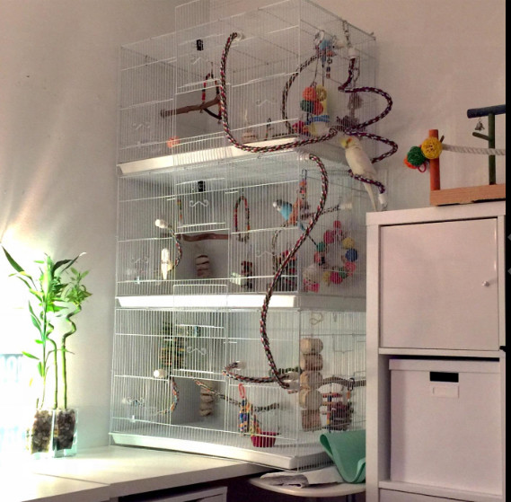 60 * 40 * 40 pagal užsakymą didelis didmeninis didelis geležinės vielos paukščių veisimo balandžių papūgos narvas