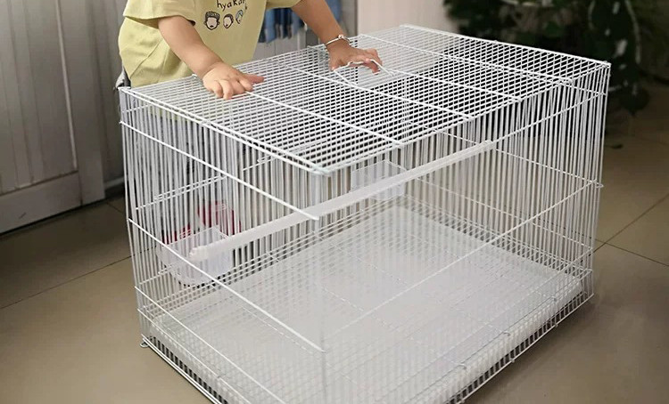 60 * 40 * 40 pagal užsakymą didelis didmeninis didelis geležinės vielos paukščių veisimo balandžių papūgos narvas