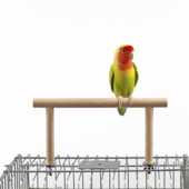 Η κορυφαία μπάρα κλουβιού πουλιών είναι κατάλληλη για αλληλεπίδραση εκπαίδευσης και αναρρίχησης παιώνιας, πουλιού από δέρμα τίγρης και Xuanfeng Bird Cage Toy