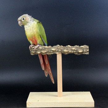 Parrot настолен рафт тигрова кожа Xuanfeng умения за обучение божур интерактивен рафт за птици пипер дървена играчка ръчно хранене на птици