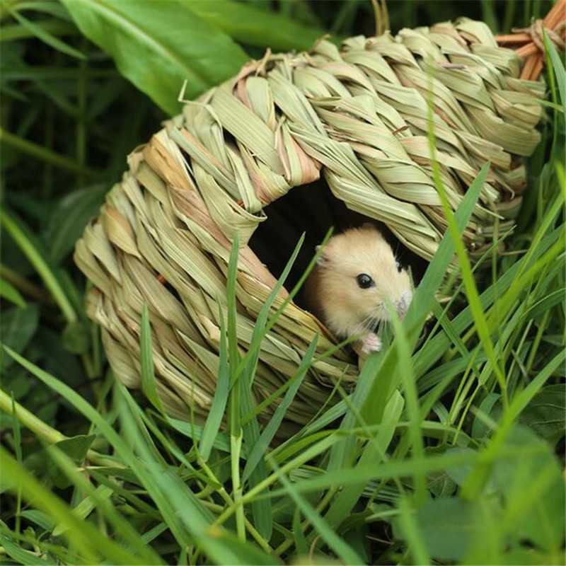 Looduslik muru linnupesa Linnumaja linnupuur Kodu õue kaunistamine Väikese linnumaja puur Lindude munakonteinerite pesa