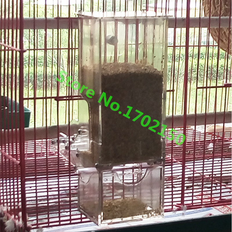 1 τεμ. Feeder Bird Automatic Feeders Bird Food Ontainer Bird Food Feeders for Pigeons Parrot Starling Pet Birds Feeders