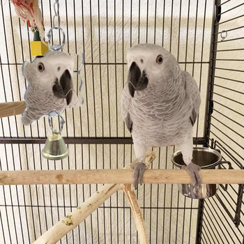 Παιχνίδι με καθρέφτη πουλιών Ανθεκτικό διαδραστικό παζλ Παπαγάλος παιχνίδι Καθρέφτης κλουβιού πουλιών Εύκολο στη χρήση Αξεσουάρ κλουβιού για κατοικίδια ζώα Φέρνουν πολλή διασκέδαση