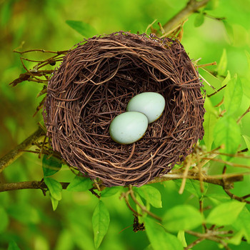8-20cm Nature Rattan Bird Nest Πασχαλινό Διακόσμηση Αυγών Στήριγμα Τεχνητή Φωλιά για Πασχαλινό πάρτι Διακόσμηση κήπου σπιτιού DIY Craft