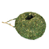 Cuib de pasăre țesut cu mușchi verde, iarbă ecologică, colibă de păsări, agățată, adăpost din fibre naturale, de frig.