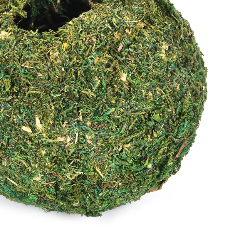 Cuib de pasăre țesut cu mușchi verde, iarbă ecologică, colibă de păsări, agățată, adăpost din fibre naturale, de frig.