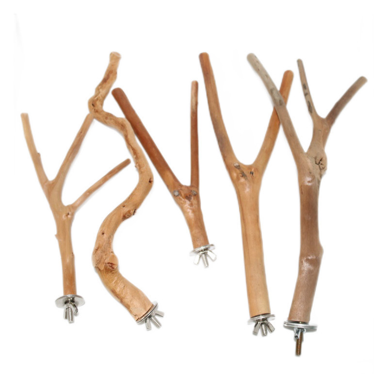 Φυσικό ξύλο παπαγάλου όρθιου ραβδιού κατοικίδιο ζώο πτηνών κλουβί ράφι πόδι λείανση καθαρά παιχνίδια για Parrot parakeet κατοικίδιο αξεσουάρ κλουβιού