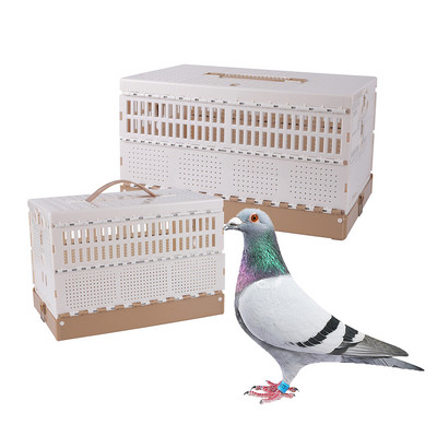 Pigeon Folding Cage Pigeon Training Portable Cage Homing Pigeon Training Release Cage Flying Cage Pigeon Competition Cage 1 Pc