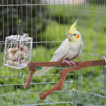 Βάση για παπαγάλους κατοικίδιων ζώων Κρεμαστά παιχνίδια παιχνιδιών Κλουβί πουλιών Ξύλινο κλαδί Βάση Πέρκες παπαγάλος Ξύλινη θήκη Πέρκες Πουλί σκαρφαλωμένο ραβδί