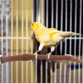 Parrot Bird Standing Stick Wood Pole Bird Cockatiel Parakeet Perches Bite Claw Grinding Toy Παιχνίδι Αξεσουάρ κλουβιού πουλιών Παιχνίδια για κατοικίδια