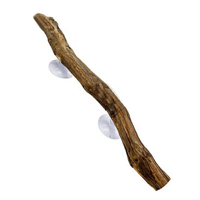 Βάση παπαγαλιών Διακόσμηση παιχνιδιών Αξεσουάρ κλουβιού πουλιών Ταξίδι εξωτερικού χώρου Παιχνίδια μασήματος με νύχια ράφι λείανσης Pet Bird Perch for Parakeets Reptile