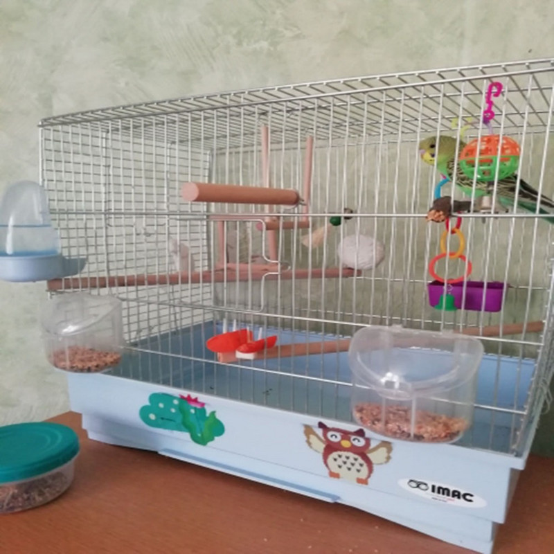 Ξύλινο μπαστούνι παπαγάλου για κατοικίδια Παιχνίδια Βάση κλουβιού Πέρνκες Πλατφόρμα Παιχνίδι λείανσης ποδιών για παπαγάλο Αξεσουάρ κατοικίδιων πτηνών παπαγάλων