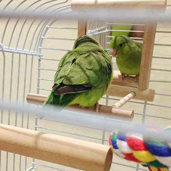 2 πακέτα παπαγάλων Finch με όρθιο κοντάρι με κουνιστό καθρέφτη Πέρκα πουλιών