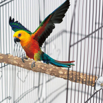 10 cm gheare de pasăre bară de măcinat ciocul băț de stație pentru papagal stâlp pentru păsări accesorii pentru cușcă pentru suport pentru papagal