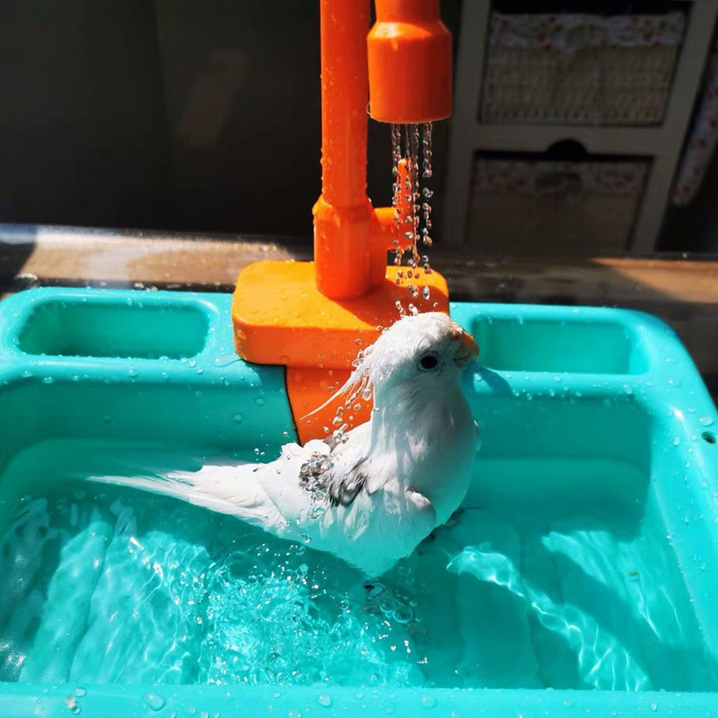 Papūgos ešerio dušas Naminių paukščių vonios narvelis Papūgos vonios baseinas Papūgos dušo dubuo paukščiams Priedai Papūgos žaislas