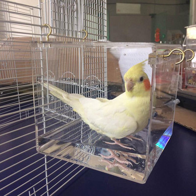 Διαφανές Pet Bird Bath Parrots Μπανιέρα Ευρύχωρο ακρυλικό σπίτι με κρεμαστούς γάντζους για παπαγάλους Cockatiels Parakeets Pet Cage