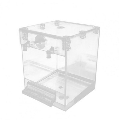 Διαφανές, φιλικό προς το περιβάλλον, μικρό δοχείο ψωμιού για κατοικίδια, επαναχρησιμοποιούμενο επαναχρησιμοποιήσιμο μπανιέρα παπαγάλου, ανθεκτικό στο δάγκωμα για ινδικό χοιρίδιο